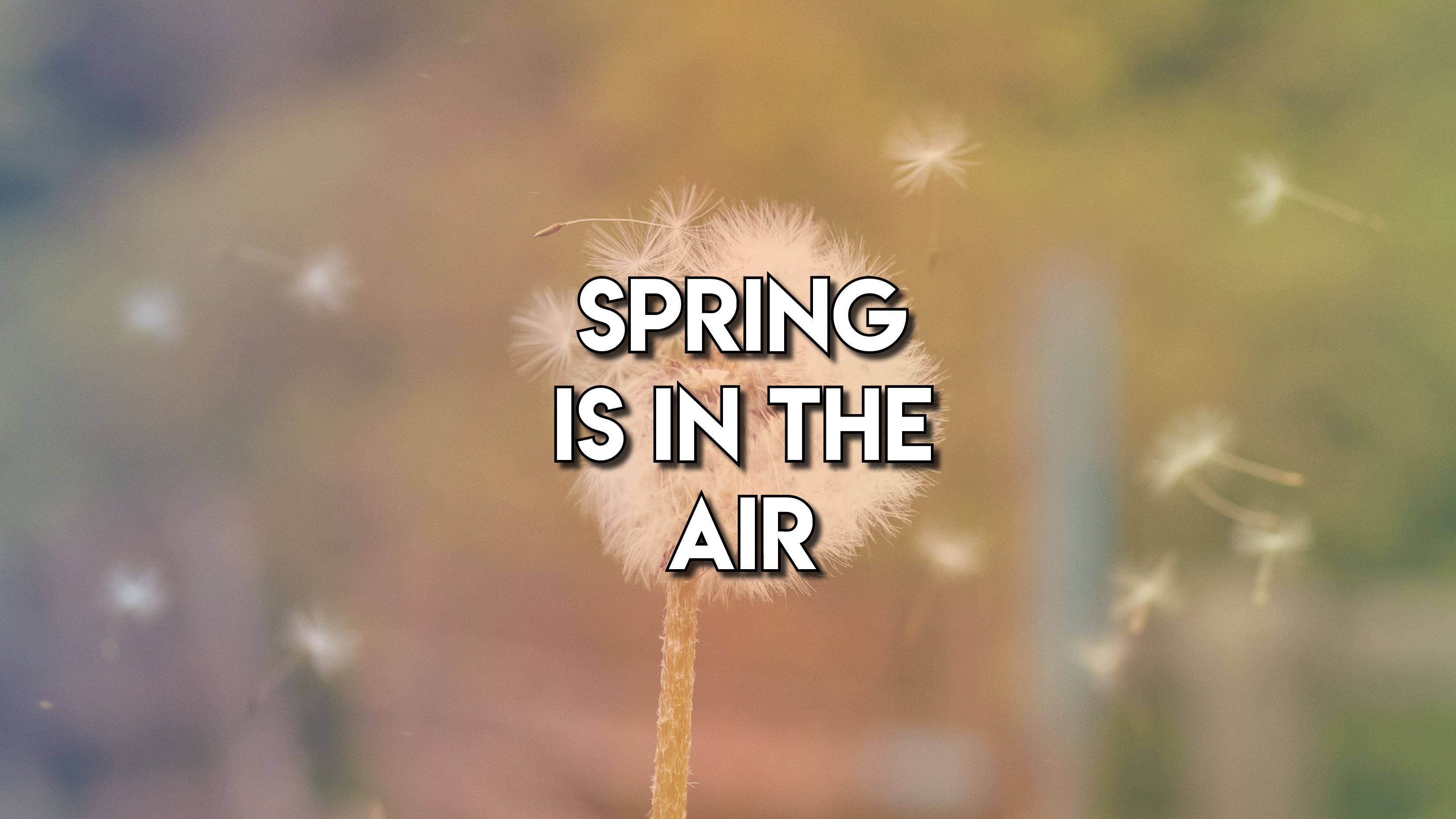 Spring is in the Air – and so are Allergies!
